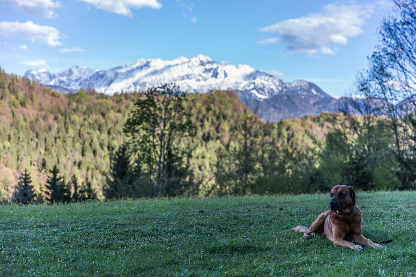 2017-029 Maiandacht Trojer.jpg